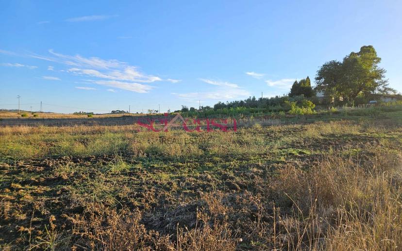 Rustico Borgo Santa Rita, Cinigiano — foto 16 di 26