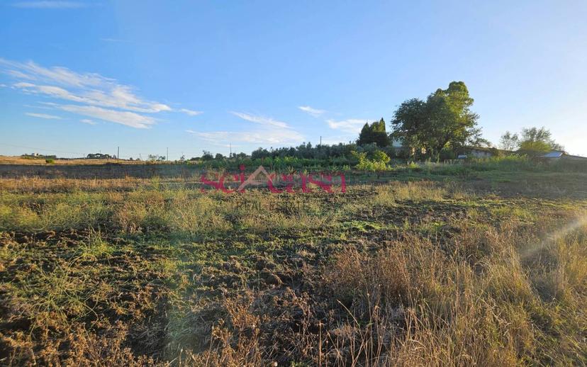 Rustico Borgo Santa Rita, Cinigiano — foto 17 di 26