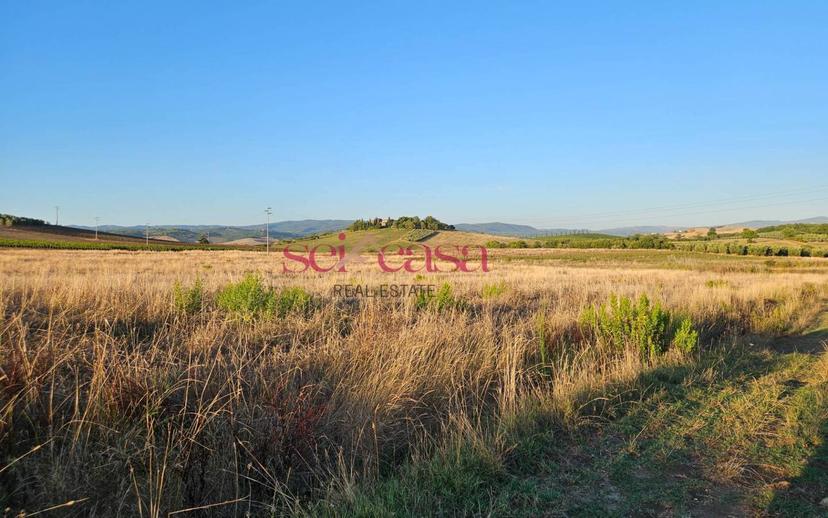 Rustico Borgo Santa Rita, Cinigiano — foto 21 di 26