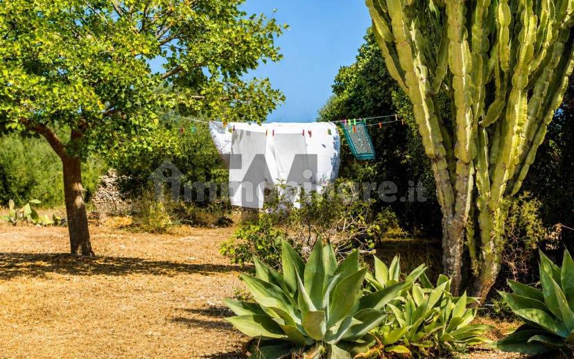 Villa unifamiliare strada vicinale costiera contrada de giorgis nd, Favignana — foto 21 di 63