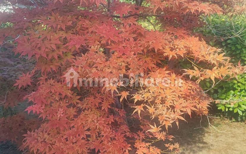 Trilocale ottimo stato, piano terra, Gazzuolo — foto 2 di 33