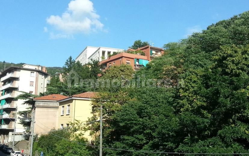 Stanza singola via di Cologna 36, Trieste — foto 3 di 7