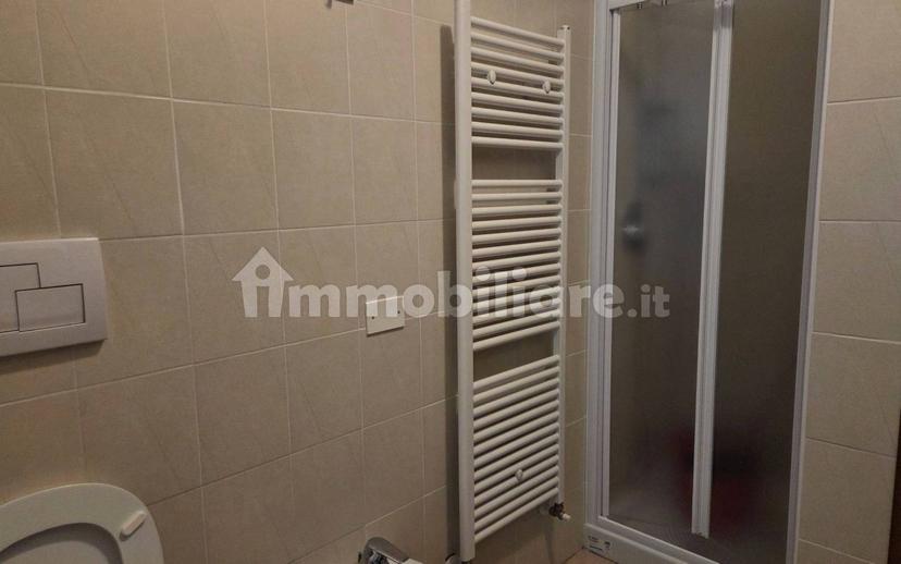 Stanza doppia via 25 Aprile 7, San Zeno Naviglio — foto 14 di 14