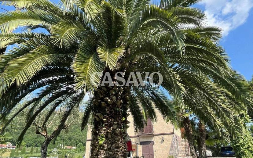 Villa unifamiliare via Ricciardi 18, Caiazzo — foto 10 di 32