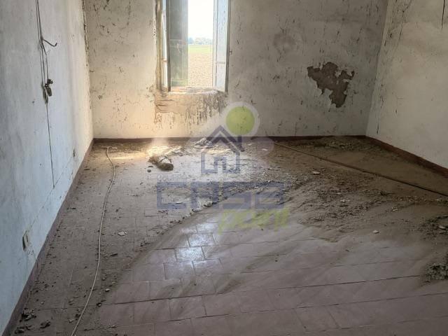 Cascina Strada Ardenga, San Pietro in Cerro — foto 17 di 25