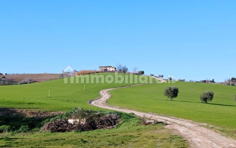 Casa colonica via Villa Zara, Fermo — foto 4 di 5