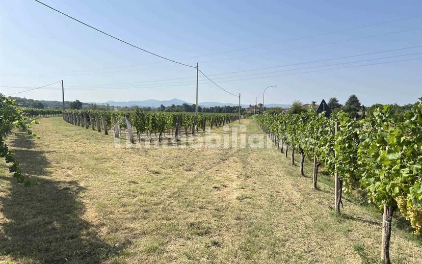 Villa unifamiliare, ottimo stato, 170 m², Francavilla Bisio — foto 9 di 27