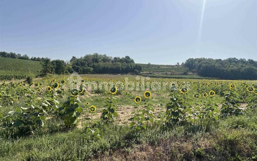 Villa unifamiliare, ottimo stato, 170 m², Francavilla Bisio — foto 5 di 27