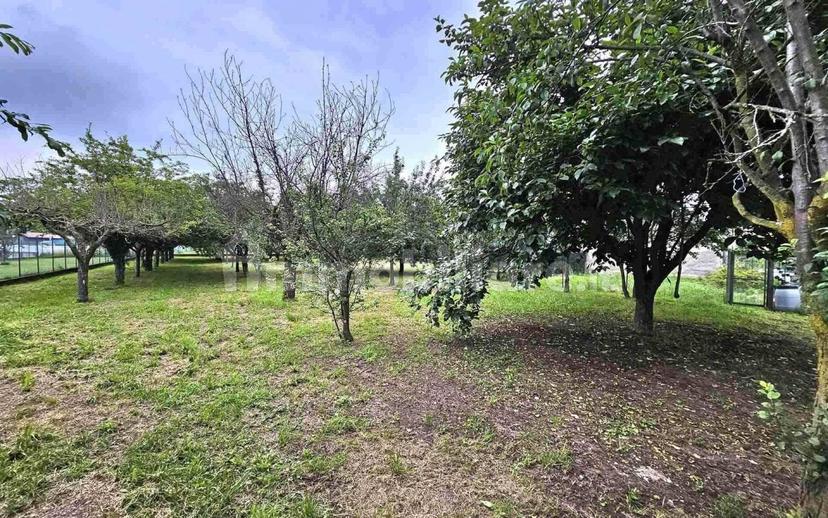 Terratetto unifamiliare via Marigone 18, Occhieppo Inferiore — foto 17 di 31