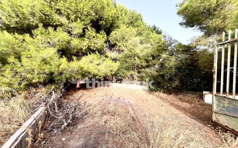 Villa unifamiliare Contrada Marotta, Melilli — foto 18 di 31