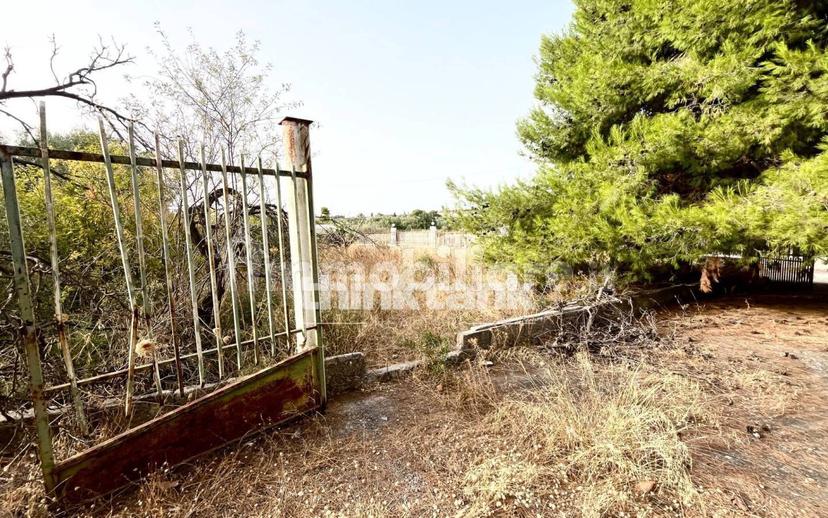 Villa unifamiliare Contrada Marotta, Melilli — foto 22 di 31