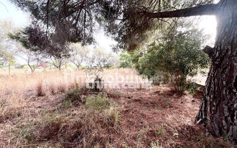 Villa unifamiliare Contrada Marotta, Melilli — foto 16 di 31