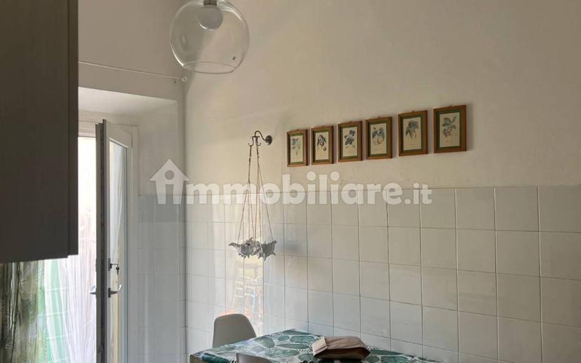 Bilocale ottimo stato, piano terra, Cassarello, Senzuno, Salciaina, Follonica — foto 9 di 11