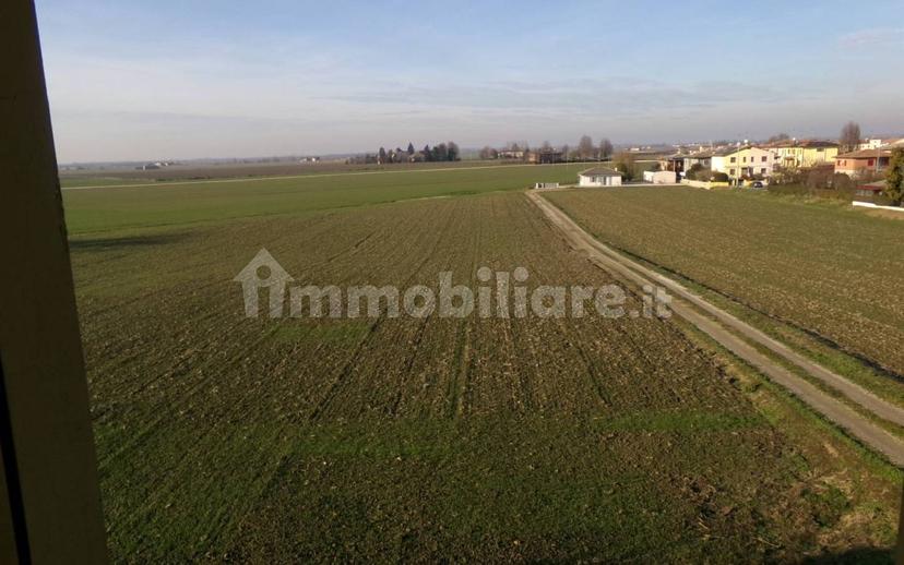 Villa unifamiliare via Argine Postale 4/A, Mirabello, Terre del Reno — foto 53 di 82