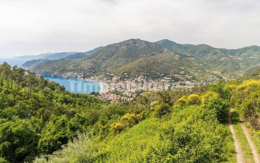 Appartamento in villa Località Mesco 39, Levanto — foto 3 di 7