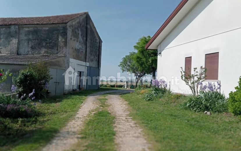 Villa unifamiliare Località Basson, Corbola — foto 30 di 31
