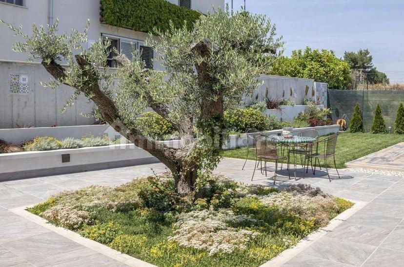 Villa unifamiliare, buono stato, 480 m², Centro, Termoli — foto 17 di 27