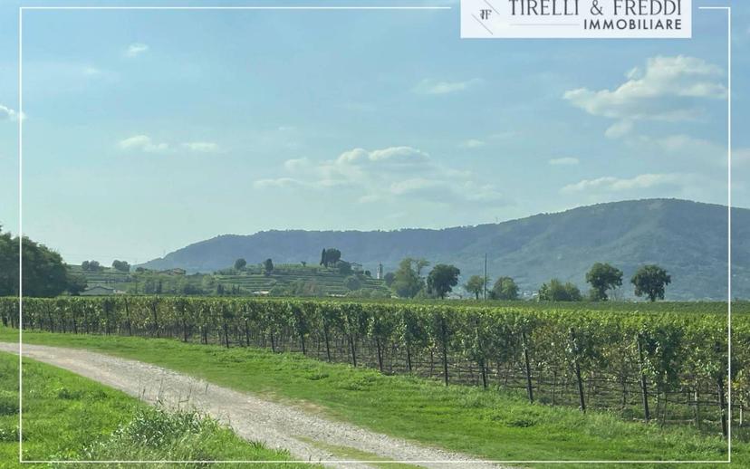 Villa unifamiliare via Angelo Canossi, Fornaci Quattrovie, Adro — foto 39 di 42