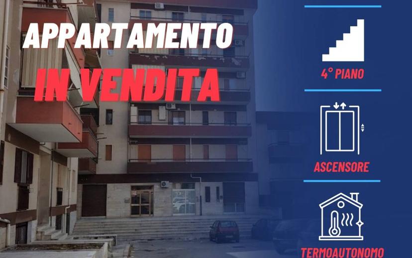 Bilocale piazza delle Rose 6, Centro, Manfredonia — foto 5 di 12