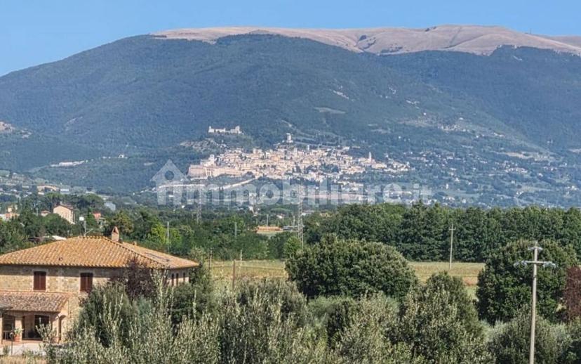 Attico ottimo stato, 145 m², Bastia Umbra — foto 4 di 30