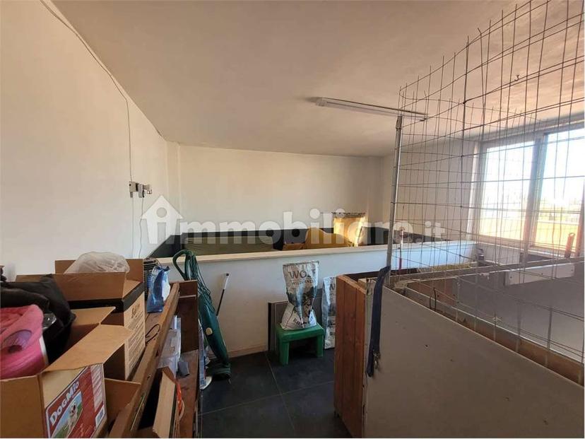 Appartamento via Pietragalla, 5/a, Centro, Cerignola — foto 10 di 21