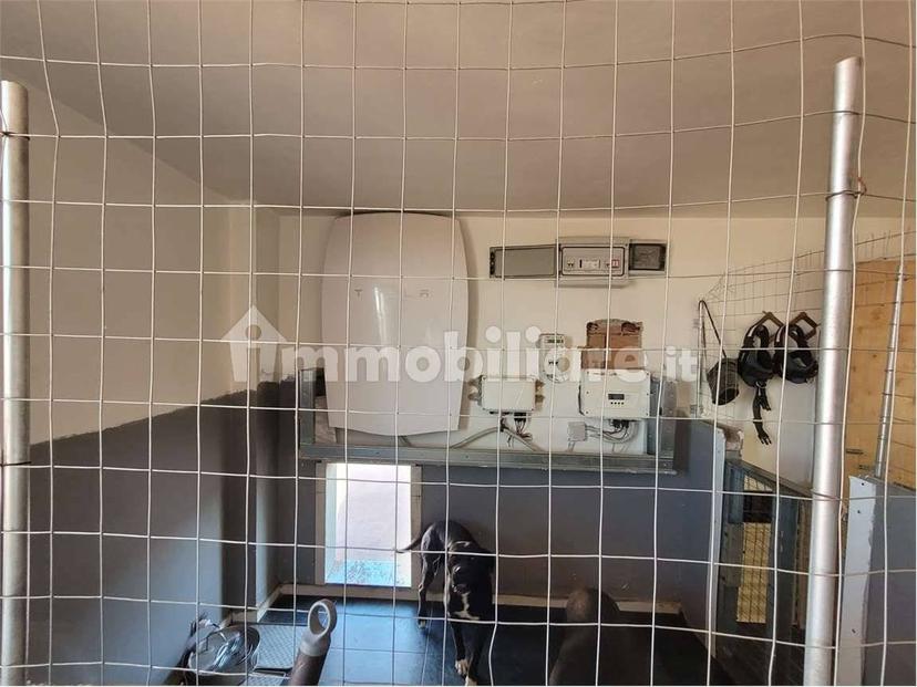 Appartamento via Pietragalla, 5/a, Centro, Cerignola — foto 17 di 21