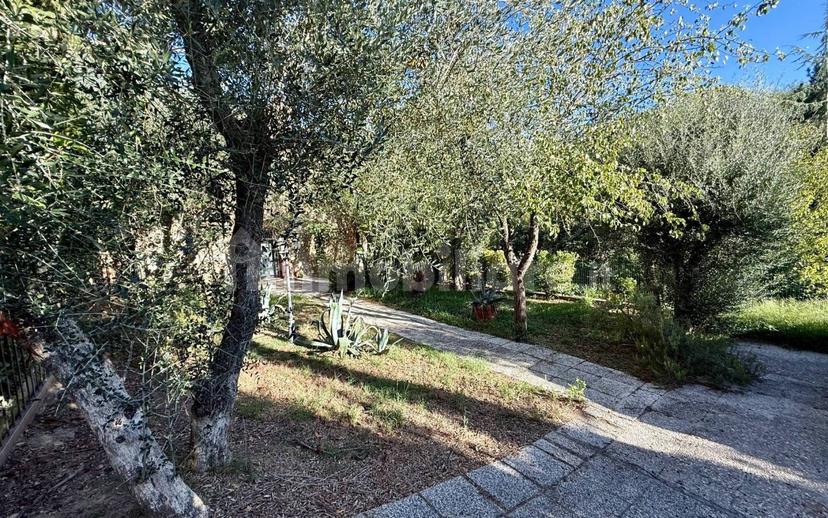 Quadrilocale Podere Vernine, Montalcino — foto 8 di 21