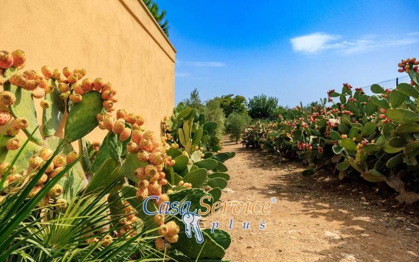 Villa unifamiliare Sp52, Sannicola — foto 14 di 92