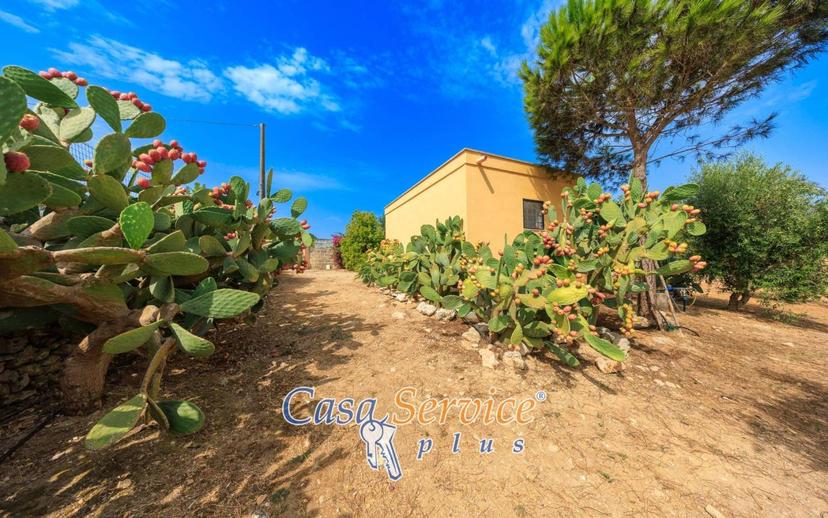 Villa unifamiliare Sp52, Sannicola — foto 31 di 92