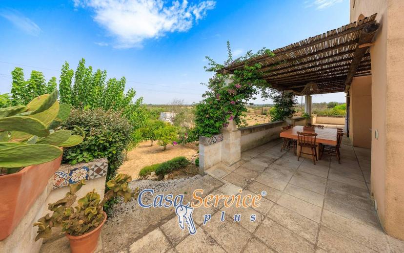Villa unifamiliare Sp52, Sannicola — foto 41 di 92