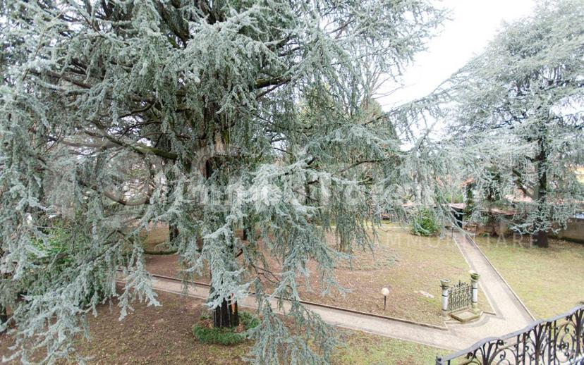 Villa unifamiliare via Villafranca, 1, Centro, Carate Brianza — foto 11 di 24