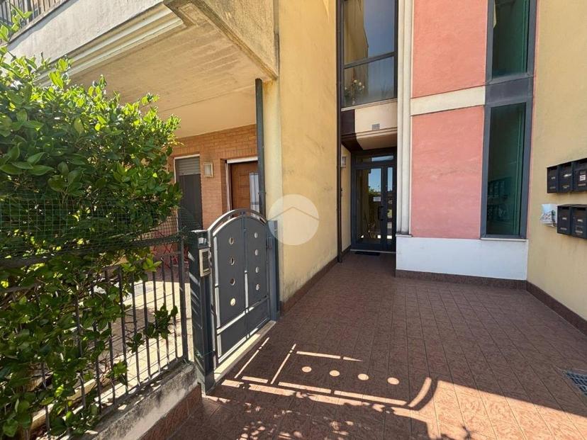 Trilocale V. XII Str. 15, Bellocchi - Falcineto, Fano — foto 12 di 13