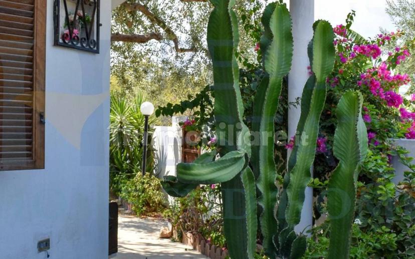 Villa unifamiliare via Tommaso Fazello 228, Centro, Noto — foto 14 di 48