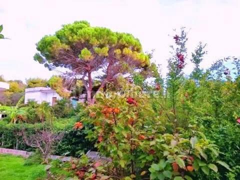 Villa unifamiliare via Della Croce No Number, Centro, Nardò — foto 14 di 23