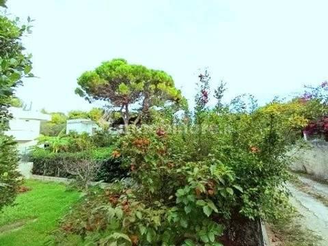 Villa unifamiliare via Della Croce No Number, Centro, Nardò — foto 22 di 23