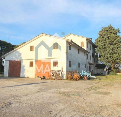 Rustico via Emilia, Centro, Musile di Piave — foto 5 di 28