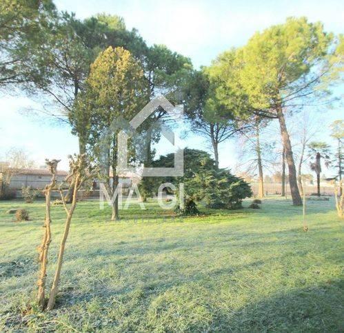 Rustico via Emilia, Centro, Musile di Piave — foto 6 di 28