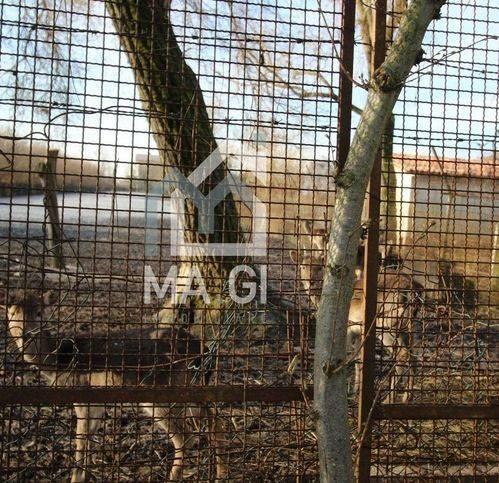 Rustico via Emilia, Centro, Musile di Piave — foto 27 di 28