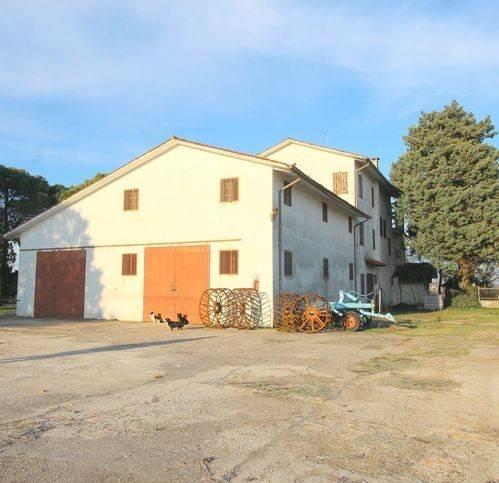 Rustico via Emilia, Centro, Musile di Piave — foto 24 di 28