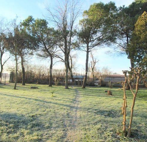 Rustico via Emilia, Centro, Musile di Piave — foto 15 di 28