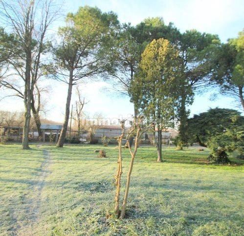 Rustico via Emilia, Centro, Musile di Piave — foto 4 di 28