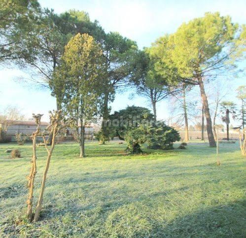 Rustico via Emilia, Centro, Musile di Piave — foto 21 di 28