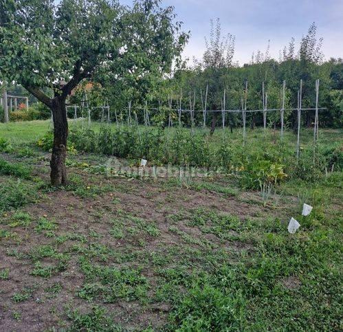 Villa unifamiliare, da ristrutturare, 120 m², Coniolo Bricco, Coniolo — foto 15 di 17