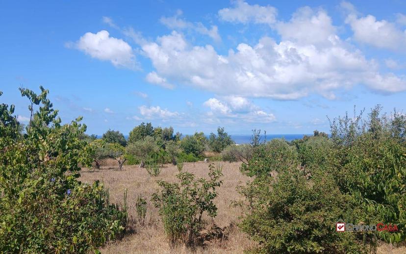 Rustico, da ristrutturare, 180 m², Ortoliuzzo - San Saba, Messina — foto 10 di 23