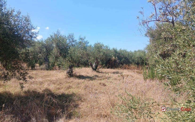 Rustico, da ristrutturare, 180 m², Ortoliuzzo - San Saba, Messina — foto 6 di 23