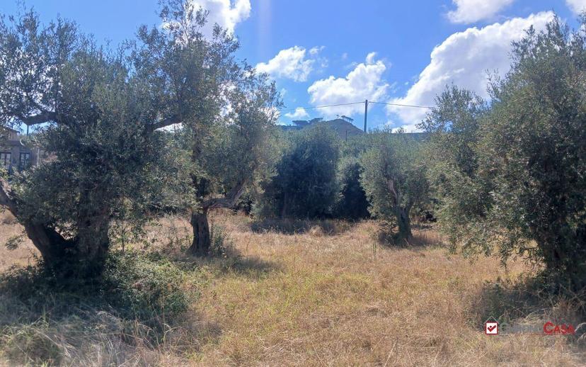 Rustico, da ristrutturare, 180 m², Ortoliuzzo - San Saba, Messina — foto 19 di 23
