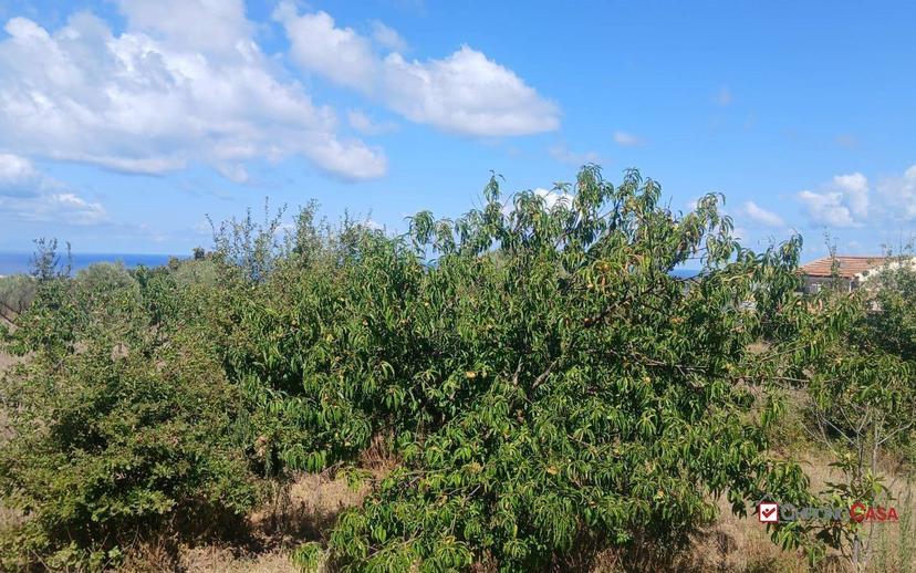Rustico, da ristrutturare, 180 m², Ortoliuzzo - San Saba, Messina — foto 13 di 23