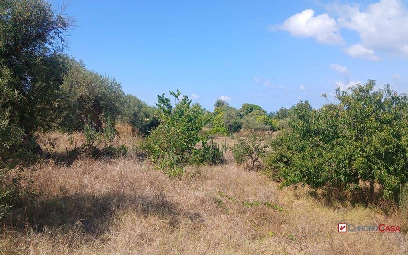 Rustico, da ristrutturare, 180 m², Ortoliuzzo - San Saba, Messina — foto 5 di 23