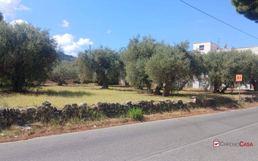 Rustico, da ristrutturare, 180 m², Ortoliuzzo - San Saba, Messina — foto 23 di 23