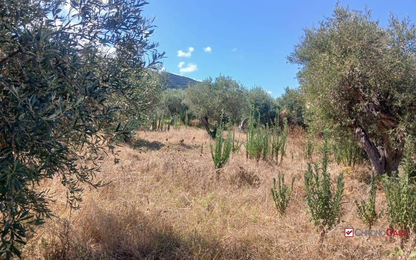 Rustico, da ristrutturare, 180 m², Ortoliuzzo - San Saba, Messina — foto 14 di 23